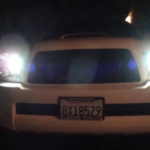Super white DTRLs