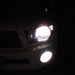 new bulbs