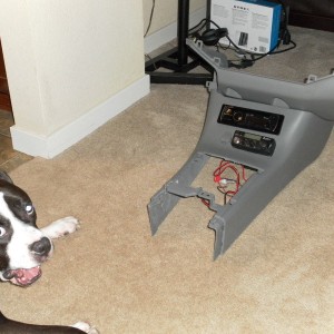 SAM_0382