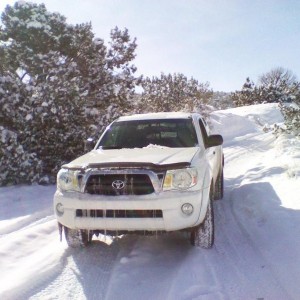 2011-02-03130509_1_