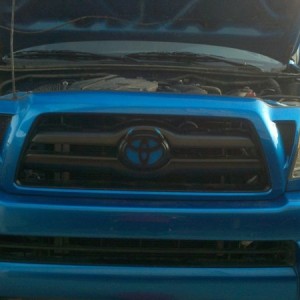 Blue Devil Horns
