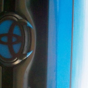 blue_horns7