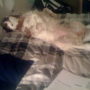 She's been like that for the last hour