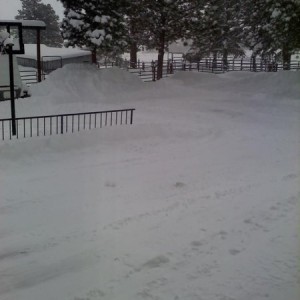 Snow at my dads in southern Co, we only got about 5"