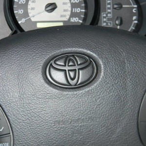 Plasti dip sprayed emblem