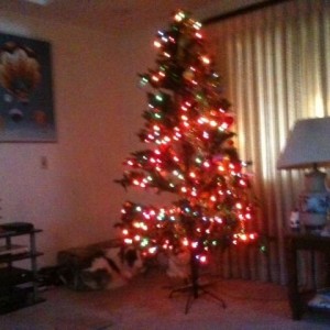 The house I'm watching the game at still has their Christmas tree up.