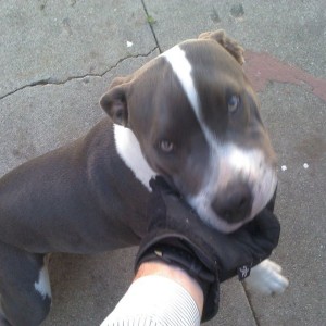 Look at killer