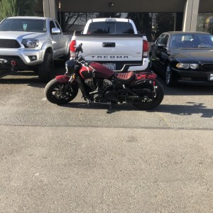 Indian scout bobber