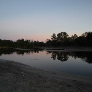 P10100191