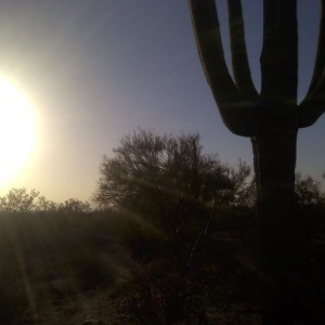 Mountain biking. Awesome