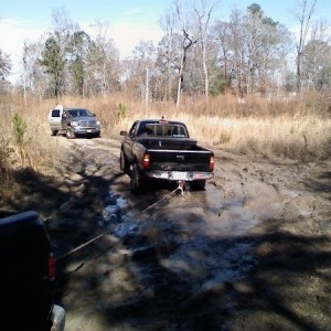 taco_stuck