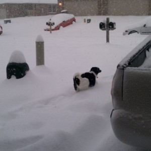 Some snow, around 9" and still coming heavy // sent from my droid