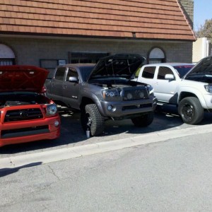 Mini taco meet lol