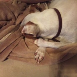 Sleepy