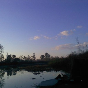 duck_2010-2011