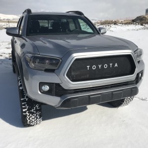 snowy