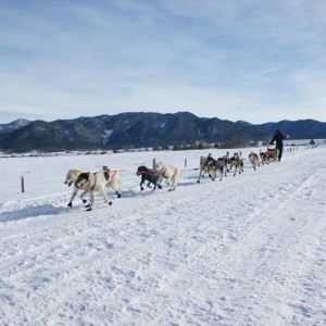 racetothesky4