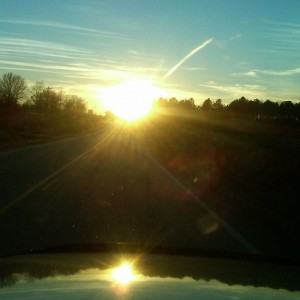 Beautiful South Cakalaky day