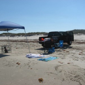 The taco at south padre island