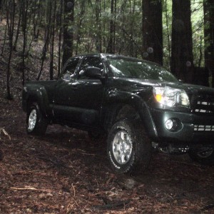 rain_trails_011