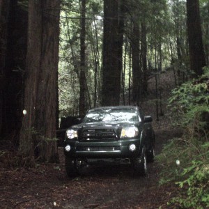 rain_trails_025