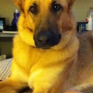 Tracker says hi!