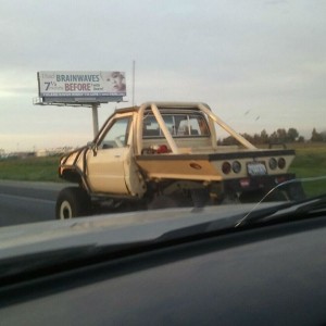 On the drive home. A small chick was driving it