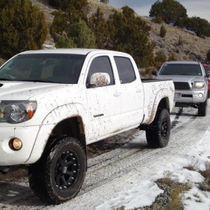 Utah Meet