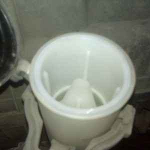 Do taco's have this?
