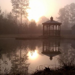 Foggy_Morning