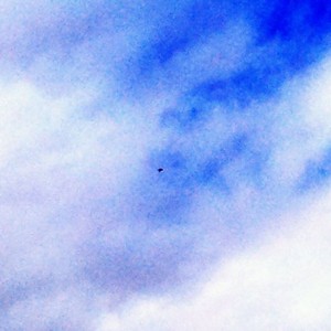 Silhouette looked like an f22