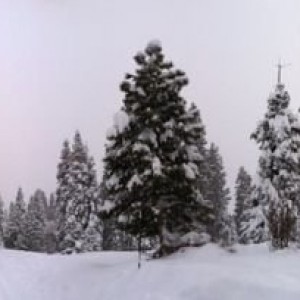 Californie gets snow too eastcoasters! 9 feet in 2 days....