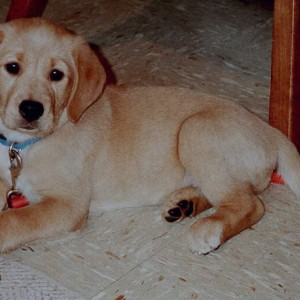 Img08-1