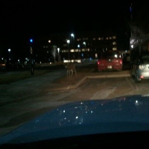 Leaving work last night.