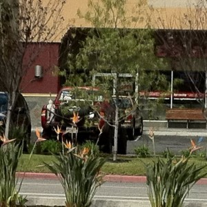 I spy mike!