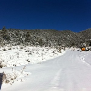 Hungry valley. Gorman Ca