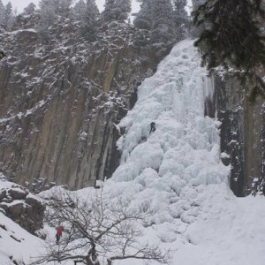 palisade2