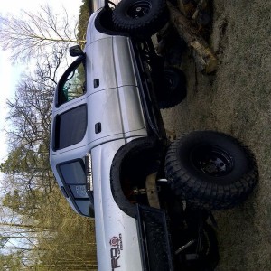 Fleaxin some