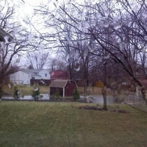 :rain: back yard = swamp