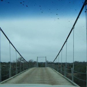 DSCF6156