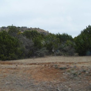 DSCF6224
