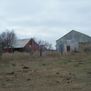 DSCF6240