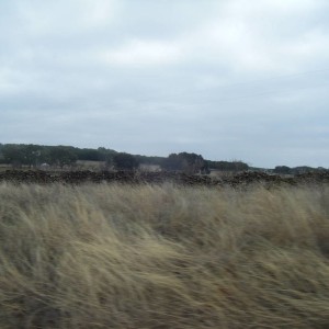 DSCF6242