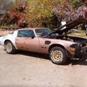 77 T/A day I got it