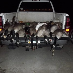 Gooder day of goosen!