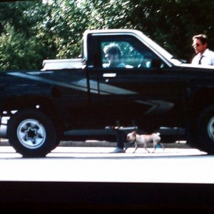 Sick yota in the movie due date!