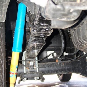 stock rears