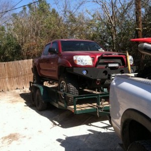 Sad day for the taco