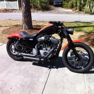 Harley 2011