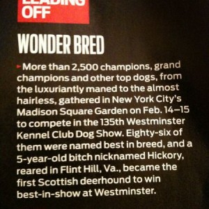 Really... Sports Illustrated